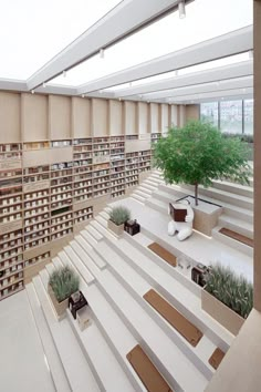 an empty library filled with lots of bookshelves and planters on the floor