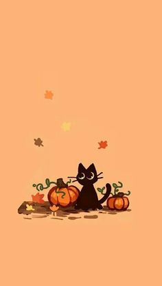 a black cat sitting on top of a pile of pumpkins