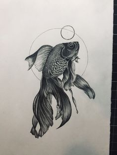 a pencil drawing of a fish with a circle around it