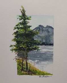 a watercolor painting of a pine tree by the lake with mountains in the background