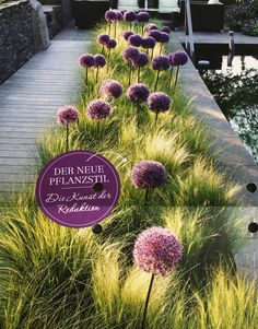 some purple flowers are growing in the grass near a walkway and water feature with a sign that says der neu plansti