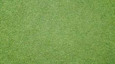 an overhead view of green grass textured with small patches of dirt on the ground