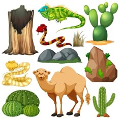 different types of plants and animals on a white background