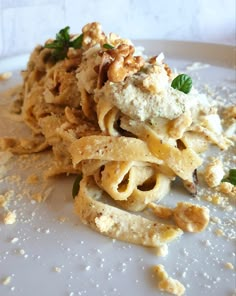 a plate with some pasta and sauce on it, including parmesan cheese and walnuts