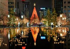 a christmas tree is lit up in the middle of a pond with lights on it