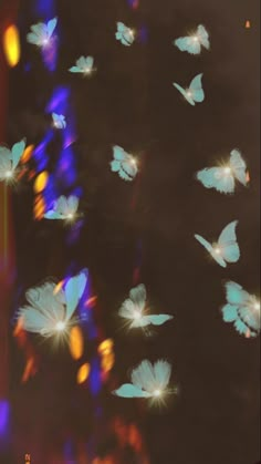 many white butterflies flying in the sky with bright lights on them and some blurry