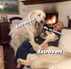 a man laying in bed with two dogs and an extrovert sign on his face