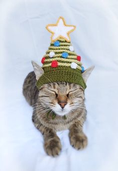 a cat wearing a knitted christmas tree hat