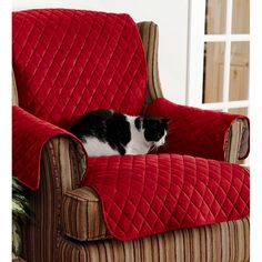 T-Cushion Loveseat Slipcover Dog Park Design, Pet Sofa Cover, Animal Chair, Pet Shed, Loveseat Covers, Loveseat Slipcovers, Pet Sofa, Armchair Slipcover, Red Quilts