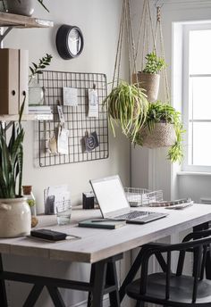 multiple photos of various plants on the wall above a desk with a laptop and other office supplies