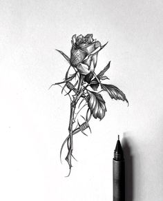 Flower Sketches, Humanoid Sketch, Tattoos, Memes, Flowers, Instagram, Art