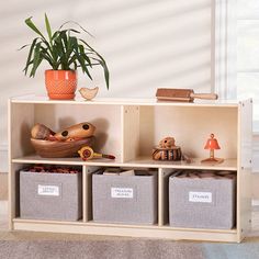 a wooden shelf with three bins and a potted plant next to it on the floor