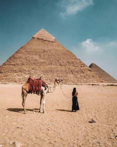 a woman standing next to a camel in front of a pyramid