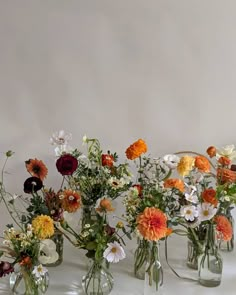 several vases filled with different types of flowers