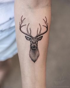 a deer's head with antlers is shown on the right side of the leg