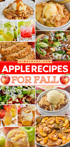 Apples are a staple for fall, but these apple recipes can be enjoyed all year round! The cozy flavors of apples, cinnamon, and other savory spices will warm your belly and your home. You will love these entrees, desserts, and cocktail recipes all made with apples! Rome Apple Recipes, Spartan Apple Recipes, Apple Orchard Recipes, Jonagold Apple Recipes, Cortland Apple Recipes, Apple Lunch Recipes, Apple Recipes For Fall, Best Apple Recipes, Fall Apple Recipes