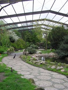 two birds are sitting on the grass near a pond and walkway in a park area