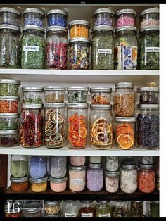 many jars filled with different types of spices