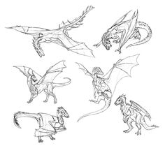 some drawings of different types of dragon