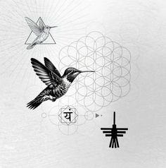 a black and white drawing of a hummingbird flying over a geometric design with the letter t in it's center