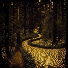 a path in the middle of a forest with circles painted on it's sides