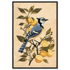 a blue bird sitting on top of a tree filled with lemons and oranges