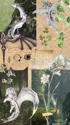 a collage of images with flowers, plants and other things in the middle one has a dragon on it's back