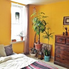 a bedroom with yellow walls and plants in the window sill, on top of a bed