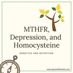 MTHFR polymorphisms, depression, and homocysteine -- study showing response to supplements Low Tyramine Diet, Silent Struggle, Panic Attack Symptoms, Dysautonomia Pots, Histamine Intolerance