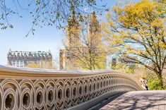 a person walking across a bridge in the park