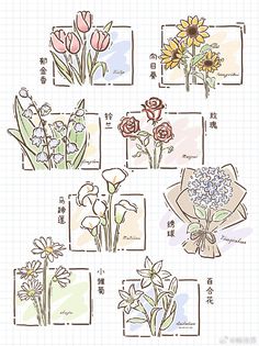 an image of flowers drawn in chinese