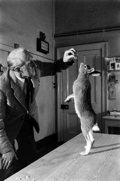 a man standing in front of a table with a cat on it's back legs