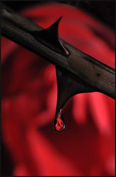 a drop of water sitting on top of a wooden stick in front of a red background