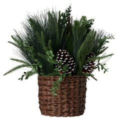 a basket filled with lots of green plants and pine cones