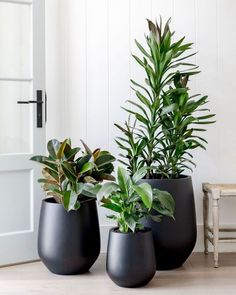 three black planters sitting on top of a wooden floor next to a white door