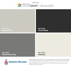 some gray and white paint colors with the words color snap visualizer on it's side