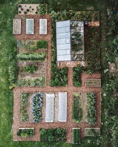 an aerial view of a vegetable garden in the middle of a grassy area with several rows of plants