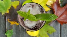 a close up of a glass with ice and a green leaf on the rim next to leaves