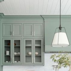 a kitchen filled with lots of green cabinets next to a potted plant on top of a counter