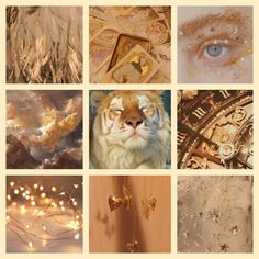 Light Moodboard, Tiger Color Palette, Zodiac Mood Board, Mbti Aesthetics & Color Palette, Aesthetic Board, Leo Zodiac Mood Board, Hufflepuff Aesthetic Mood Boards, Cat Moodboard Aesthetic, Paranormal Aesthetic