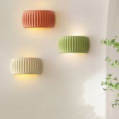 three wall lights mounted on the side of a white wall next to a potted plant