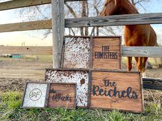 a horse standing next to a fence with some pictures on it and a sign that says the ponies