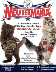 a flyer for a cat show with two cats in front of the caption, free spay netter weekend for community cats