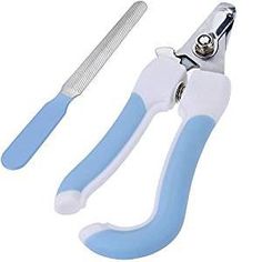 a pair of blue handled pliers next to a toothbrush on a white background