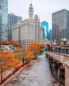 the city is full of tall buildings and trees with orange leaves on it's branches