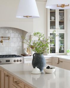 a large vase sitting on top of a kitchen counter next to a potted plant