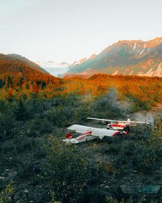 Plane Widget, Aesthetic Country Pictures, 80s Hiking, Morning Core, Pilot Aesthetic, The Simple Wild, Pilot Life, Bush Pilot, Bush Plane