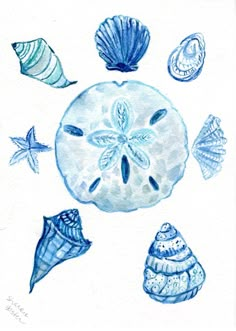 a drawing of seashells and starfish on white paper