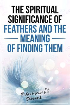 the book cover for the spirit and significance of feathers and the meaning of finding them