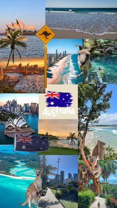 australia collage with kangaroos, palm trees, water and cityscapes in the background